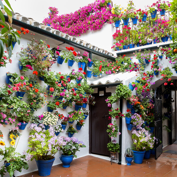 Hotel González Hotel González